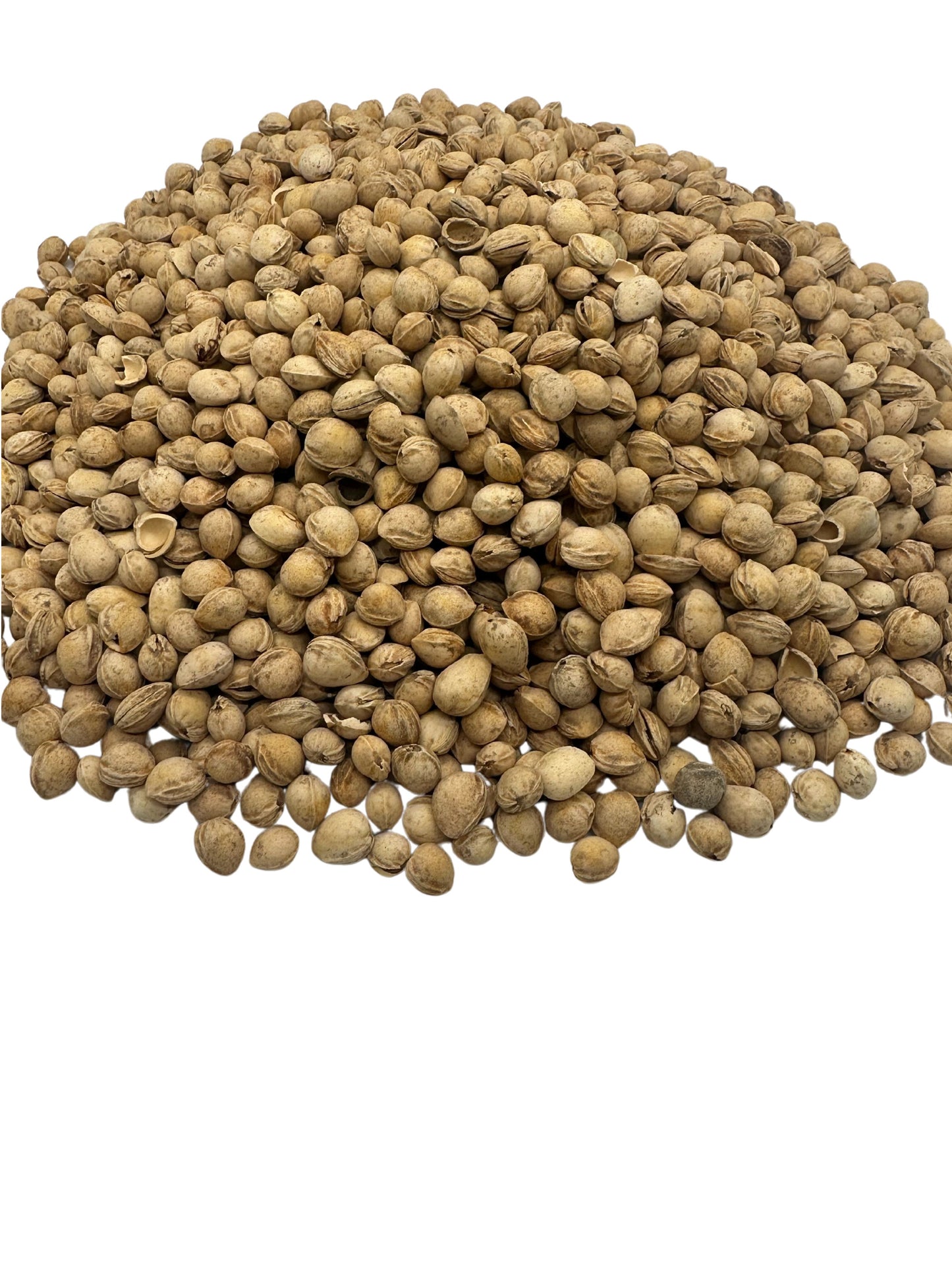 Cherry Pits 1 LB (3.5 Cups)